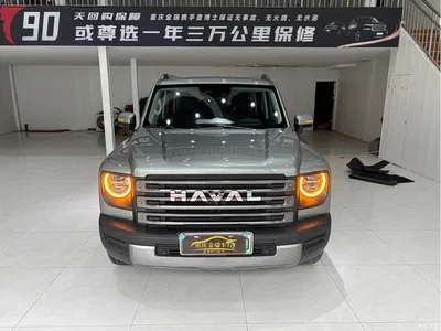 2024 Haval Meng Long NEV Hi4 145 Cross-country Edition, фото 1, лот 10297087