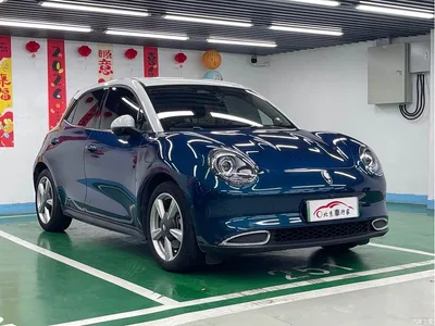 2021 Ora Good Cat 500km Long Range Poseidon Edition (NMC), фото 3, лот 10330367