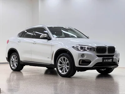 2017 BMW X6 xDrive35i Leading, фото 3, лот 10430584