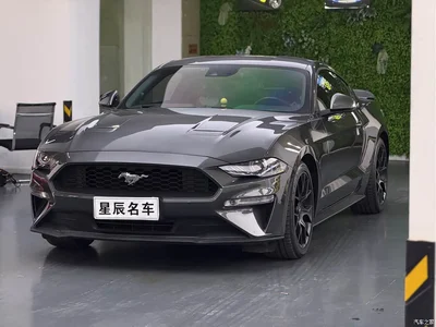 2019 Ford Mustang 2.3L EcoBoost, фото 2, лот 10297097