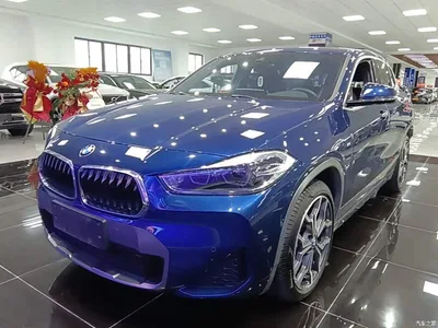 2020 BMW X2 sDrive25i Premium M Off-Road Package, фото 2, лот 10475511
