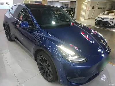 2023 Tesla Model Y Long Range All-Wheel Drive Edition, фото 4, лот 11242218