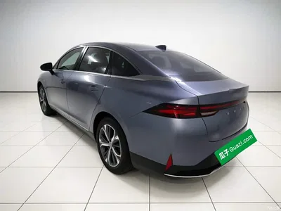 2021 XPeng P5 550G, фото 4, лот 11062545
