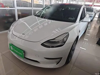 2019 Tesla Model 3 (Import) Long Range All-Wheel Drive Edition, фото 1, лот 10369957