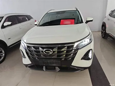 2022 GAC Trumpchi Trumpchi GS4 270T Auto Smart Tech Edition (Upgraded), фото 3, лот 10425283