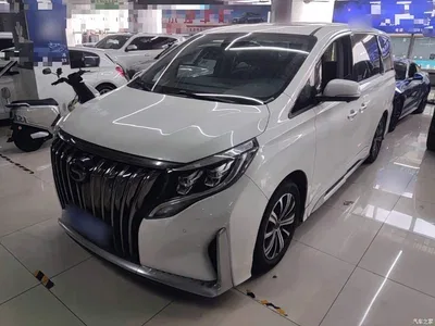 2020 GAC Trumpchi Trumpchi M8 Master Edition 390T Premium, фото 2, лот 10387242