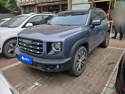 2021 Haval Big Dog 1.5T DCT 2WD Border Collie Edition, фото 1, лот 11496890