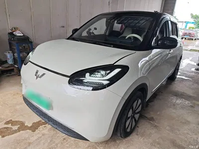2023 Wuling Motors Wuling Bingo Model 333km Joy+ Version, фото 1, лот 10371161