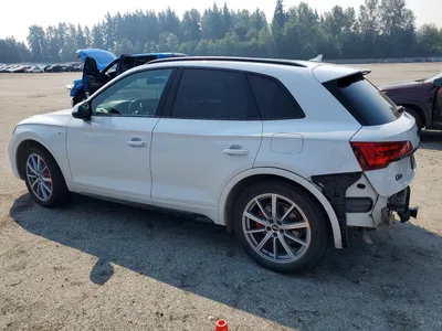2024 AUDI Q5 E PRESTIGE 55, фото 2, лот 10901150