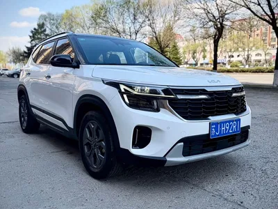 2023 Kia Seltos 1.5L CVT Luxury Edition, фото 3, лот 10337340