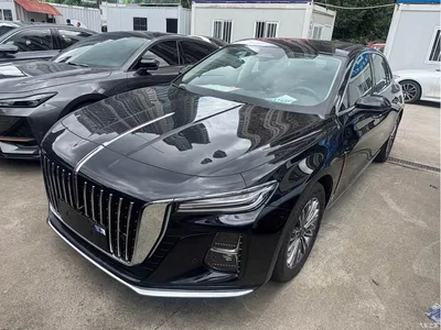 2023 Hongqi H5 2.0T Auto Smart Connect Flag Enjoy, фото 1, лот 10304119
