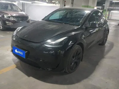2024 Tesla Model Y Rear-Wheel Drive Version, фото 1, лот 11397308