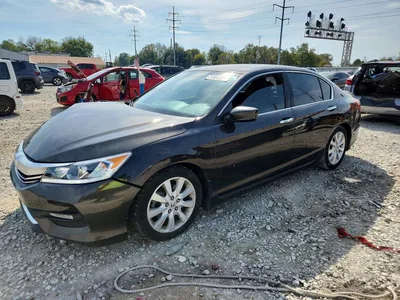 2017 HONDA ACCORD SPORT SPECIAL EDITION, фото 1, лот 11388307