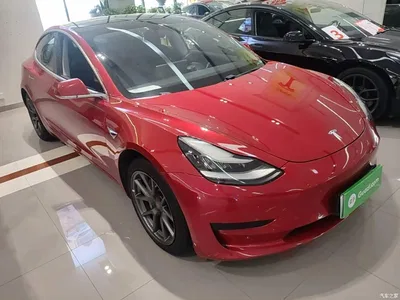 2020 Tesla Model 3 Standard Range Rear-Wheel Drive Upgrade, фото 4, лот 10766509