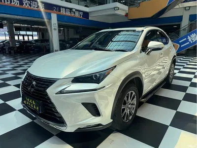 2020 Lexus NX 200 AWD F Sport China V, фото 1, лот 10318779