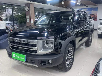 2024 Haval Big Dog 1.5T DCT Border Collie Edition, фото 3, лот 10886935
