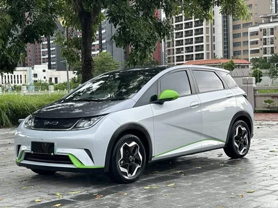 2021 BYD Dolphin Model 405km Fashion Edition, фото 2, лот 10264561