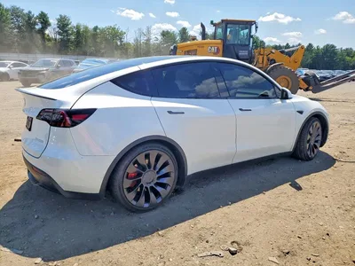 2023 TESLA MODEL Y, фото 3, лот 10853832