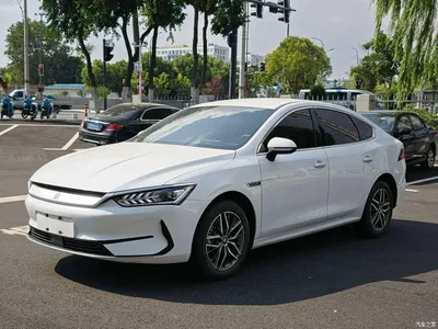 2024 BYD Qin PLUS Glory Edition EV 420KM Leading, фото 1, лот 10404630