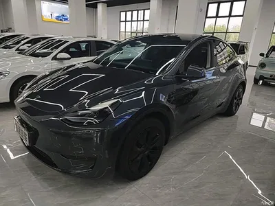 2024 Tesla Model Y Rear-Wheel Drive Version, фото 2, лот 11202525