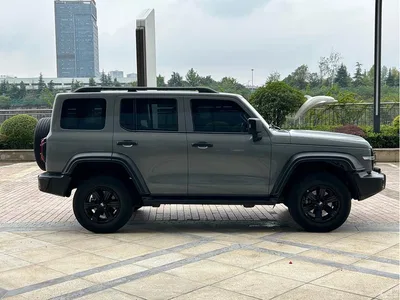 2024 Tank 300 2.0T Explorer, фото 4, лот 11087140