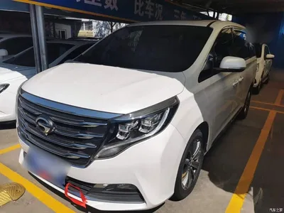2018 GAC Trumpchi Trumpchi M8 320T Premium Edition, фото 1, лот 10421642