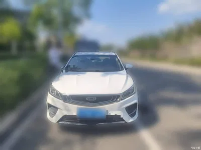 2019 Geely Binrui 200T Manual Binshi Edition, фото 2, лот 10295081