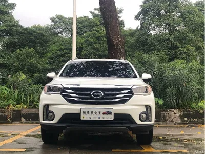 2017 GAC Trumpchi Trumpchi GS4 235T Automatic 2WD Luxury Smart Connected Edition, фото 3, лот 10415258