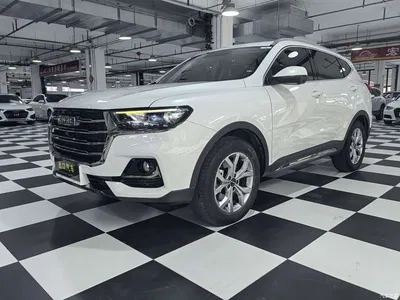 2021 Haval H6 Model National Trend Edition 1.5T Auto Champion, фото 1, лот 10282209