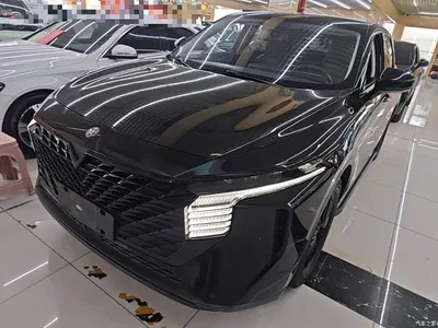 2022 Venucia Big V 260T Dark Horse Edition·Idol, фото 2, лот 11146740