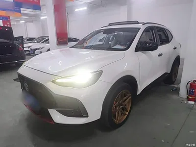 2021 MG Pilot 400TGI Automatic 2WD Trophy Flagship Edition, фото 1, лот 10327300