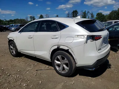 2017 LEXUS NX 200T BASE, фото 2, лот 10900161
