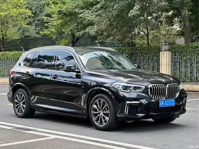 2022 BMW X5 Facelift xDrive 30Li Premium M Sport Package, фото 2, лот 10343444