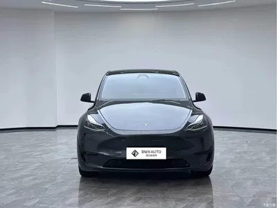 2024 Tesla Model Y Rear-Wheel Drive Version, фото 4, лот 10620347