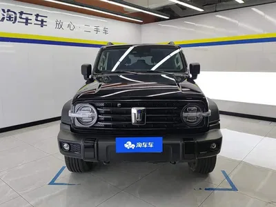 2021 Tank 300 Off-road Version 2.0T Conqueror, фото 2, лот 10344460