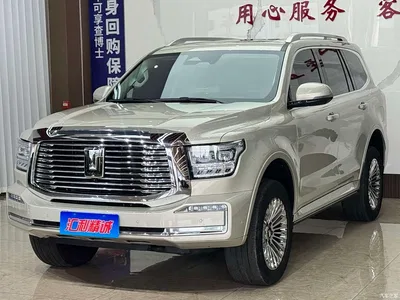 2022 Tank 500 3.0T Business Edition Zaojing 5-Seater, фото 1, лот 10344081