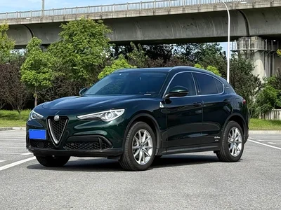 2020 Alfa Romeo Stelvio 2.0T 280HP Luxury Edition, фото 1, лот 10239840