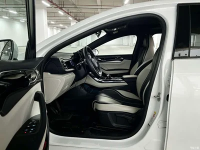 2023 BYD Qin PLUS Champion Edition DM-i 120KM Leading Type, фото 4, лот 10364379
