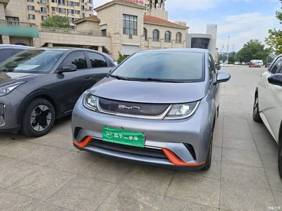 2021 BYD Dolphin 405km Freedom Edition, фото 1, лот 10259974