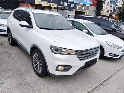 2017 Haval H6 Blue Label 2.0T Auto 2WD Leader, фото 4, лот 10286934