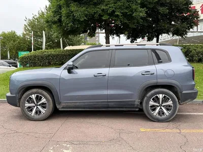2021 Haval Big Dog 1.5T DCT 2WD Labrador Edition, фото 3, лот 11213314