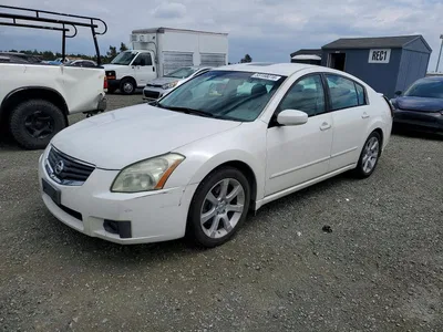 2007 NISSAN MAXIMA 3.5 SE, фото 1, лот 10733362