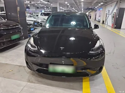 2022 Tesla Model Y Rear-Wheel Drive Version, фото 3, лот 10369973