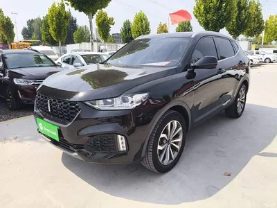 2019 WEY VV6 2.0T 2WD Ultra Luxury China VI, фото 1, лот 10598165
