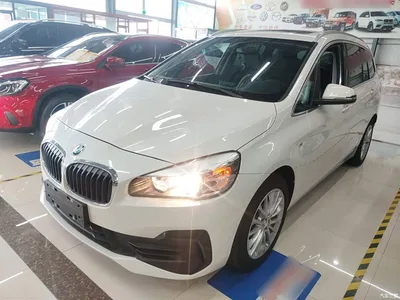 2019 BMW 2 Series Gran Tourer 220i Leading, фото 2, лот 10475057