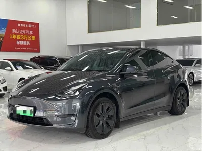 2024 Tesla Model Y Rear-Wheel Drive Version, фото 1, лот 11551302