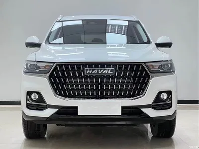 2023 Haval H6 National Trend Edition 1.5T Automatic Champion, фото 2, лот 10297820