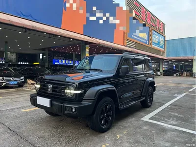 2023 Tank 300 Off-Road Edition 2.0T Conqueror, фото 1, лот 10344191