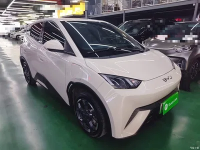 2024 BYD Seagull Glory Edition 405km Soaring Edition, фото 4, лот 10448768
