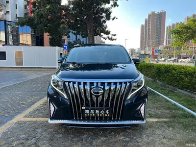 2018 GAC Trumpchi Trumpchi M8 320T Premium Edition, фото 2, лот 10417264
